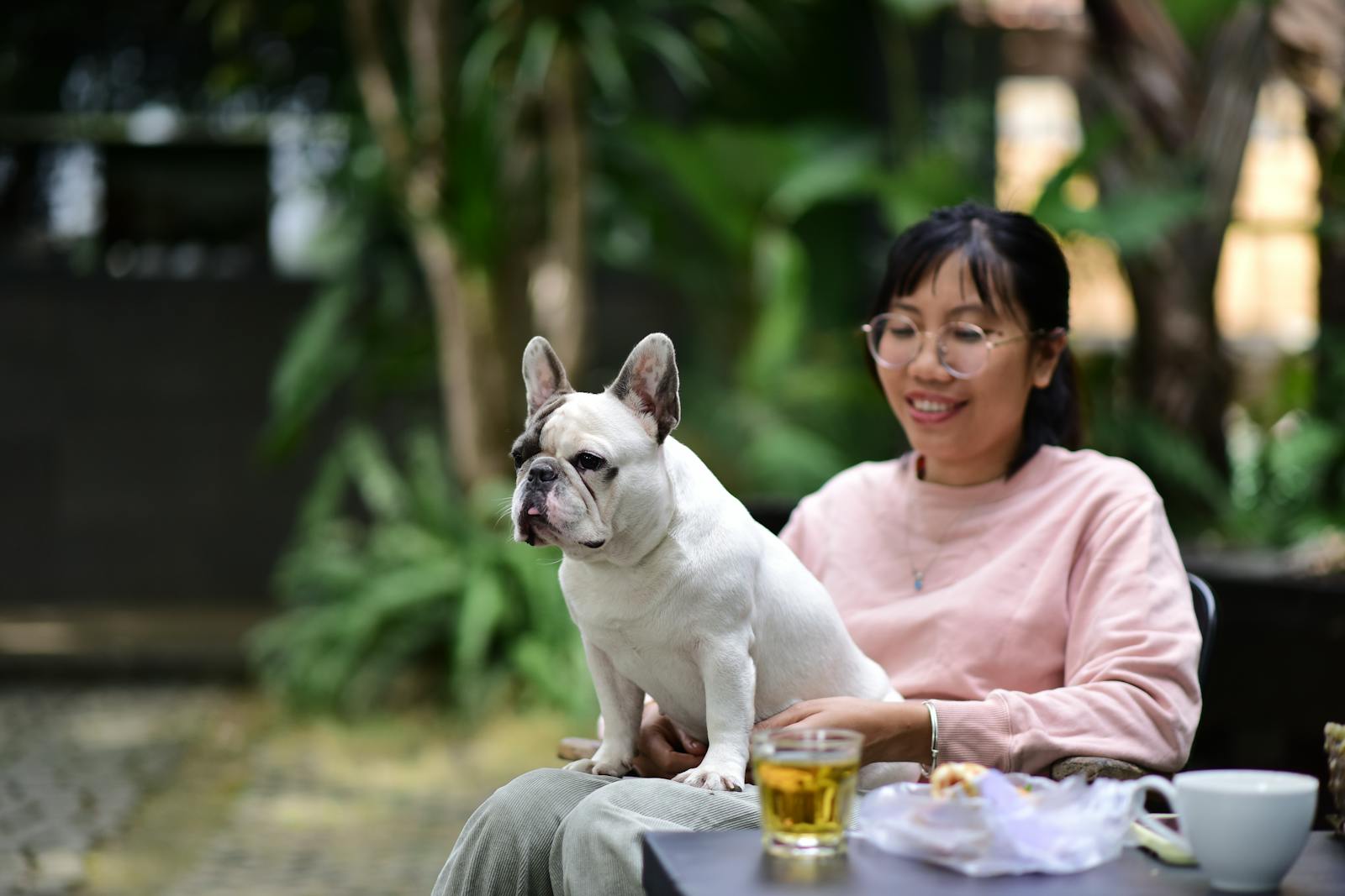 A happy dog with its owner at a sunny outdoor cafe